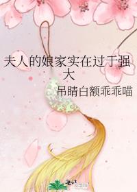 夫人的娘家实在过于强大书评