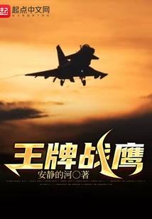 王牌战鹰百度网盘TXT免费下载