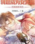 转职成为女大枪的我姓斯塔克?
