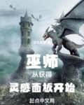 巫师从获得灵感面板开始