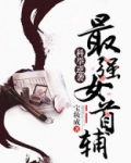 科举逆袭:最强女首辅