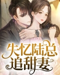 失忆陆总追甜妻