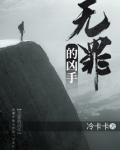 无罪的凶手