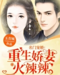 名门宠婚：重生娇妻火辣辣