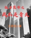 权力巅峰之我不是青天最新章节
