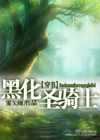[穿书]黑化圣骑士TXT