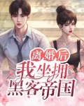离婚后,我坐拥黑客帝国