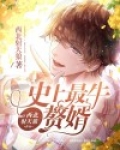 史上最牛赘婿