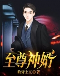 至尊神婿
