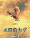 龙骑的天空
