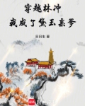 穿越林冲，我成了黛玉亲爹