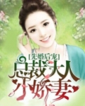 先婚后宠：总裁大人小娇妻