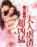 一胎三宝，夫人虐渣超凶猛