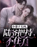 小妻子太凶,陆爷把持不住了