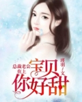 总裁老公在上:宝贝你好甜