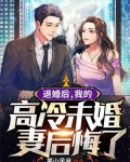 退婚后，我的高冷未婚妻后悔了