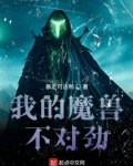 我的魔兽不对劲