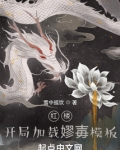 红楼：开局加载嫪毐模板