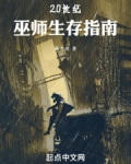 20世纪巫师生存指南