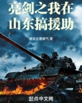 亮剑之我在山东搞援助