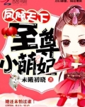 凤倾天下：至尊小萌妃