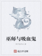 巫师与吸血鬼