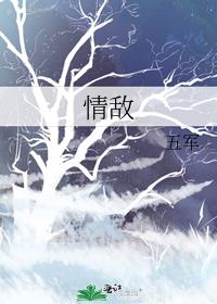 情敌