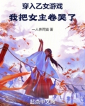穿入乙女游戏：我把女主卷哭了