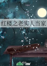 红楼之老实人当家