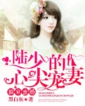 独家蜜婚：陆少的心尖宠妻（改编短剧已上线）
