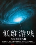 低维游戏