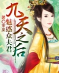 九天之后：魅惑众夫君