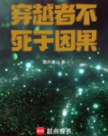 穿越者不死于因果