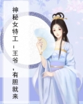 神秘女特工:王爷,有胆就来