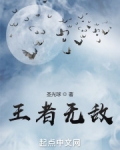 王者无敌