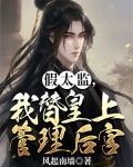 假太监，我替皇上管理后宫