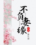 不负妻缘