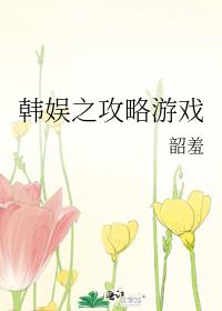 韩娱之攻略游戏