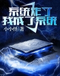 系统炸了，我成了系统