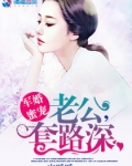 军婚蜜宠:老公,套路深