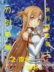 刀剑神域之夜色刺客