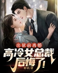出狱前离婚，高冷女总裁后悔了！