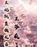 王妃跳崖假死后,王爷疯了