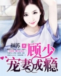 一纸成婚:顾少宠妻成瘾